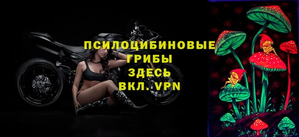 прущий лед Лиски