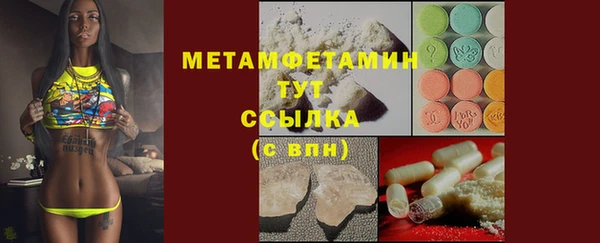 шишки Лабытнанги