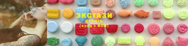 шишки Лабытнанги