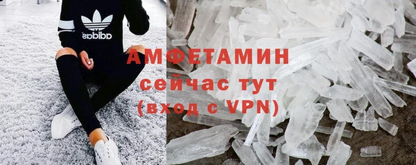 шишки Лабытнанги