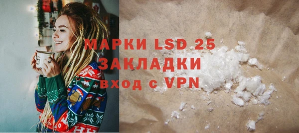 шишки Лабытнанги