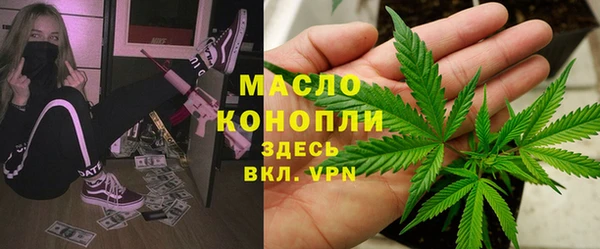 шишки Лабытнанги