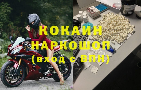 бошки Ладушкин