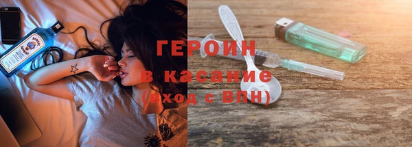 шишки Лабытнанги