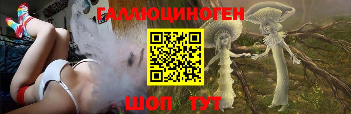 Псилоцибиновые грибы прущие грибы Мелеуз